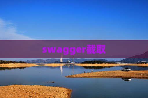 swagger截取